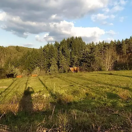 Le Petit Paradis Aux Volets Bleus Holiday home Grazac (Auvergne)
