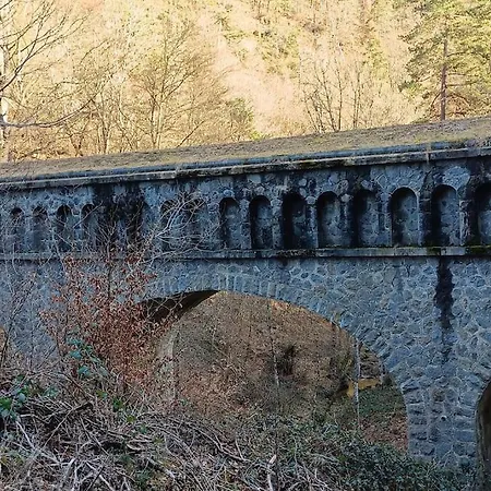 Le Petit Paradis Aux Volets Bleus Grazac (Auvergne)
